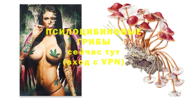 a pvp Балахна
