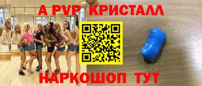стафф Камышлов