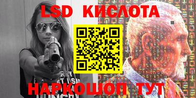 стафф Камышлов