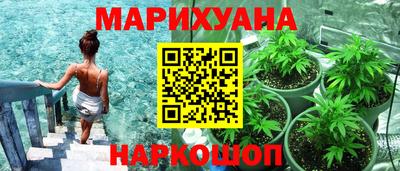 стафф Камышлов