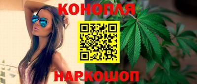 стафф Камышлов