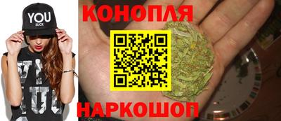 стафф Камышлов