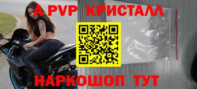 стафф Камышлов