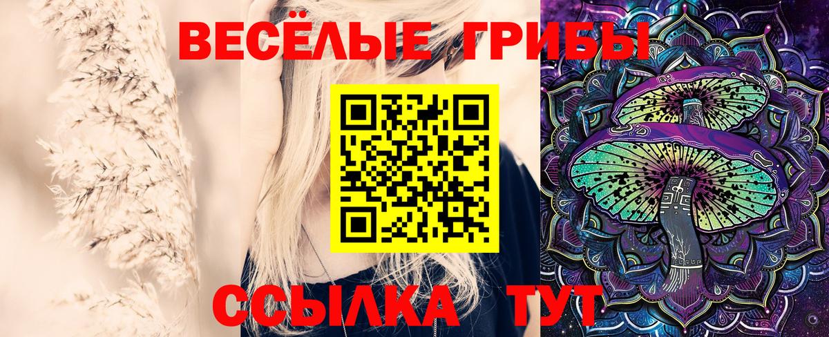 Псилоцибиновые грибы Magic Shrooms Можга